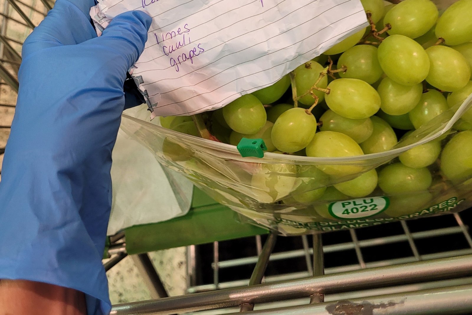 What sugar does to a liver like ours